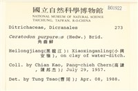 角齒蘚藏品圖，第2張