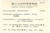 角齒蘚藏品圖，第2張