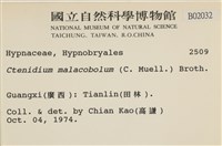 登錄號:B00002032藏品圖，第2張