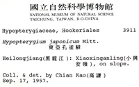 日本孔雀蘚藏品圖，第2張