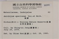 登錄號:B00002092藏品圖，第2張