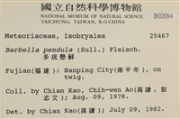 多疣懸蘚藏品圖，第2張