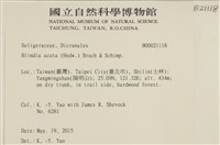 登錄號:B00002118藏品圖，第2張