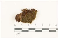 登錄號:B00002118藏品圖，第1張