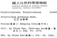 擬金髮蘚藏品圖，第2張