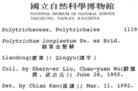 細葉金髮蘚藏品圖，第2張