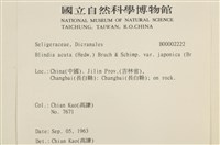 登錄號:B00002222藏品圖，第2張