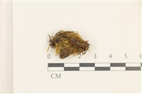 登錄號:B00002222藏品圖，第1張