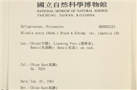 登錄號:B00002223藏品圖，第2張