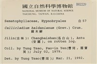 腐木蘚藏品圖，第2張