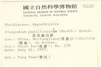 登錄號:B00002230藏品圖，第2張