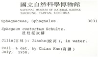 扭枝泥炭蘚藏品圖，第2張