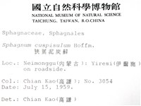狹葉泥炭蘚藏品圖，第2張