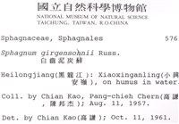 白齒泥炭蘚藏品圖，第2張