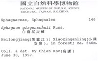 白齒泥炭蘚藏品圖，第2張
