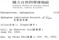覆葉泥炭蘚, 毛壁泥炭蘚藏品圖，第2張