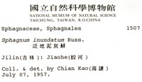 泛地泥炭蘚藏品圖，第2張