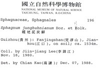 暖地泥炭蘚藏品圖，第2張