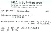 中位泥炭蘚藏品圖，第2張