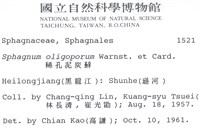稀孔泥炭蘚藏品圖，第2張