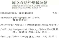 寬葉泥炭蘚藏品圖，第2張