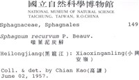 喙葉泥炭蘚藏品圖，第2張