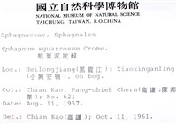 粗葉泥炭蘚藏品圖，第2張