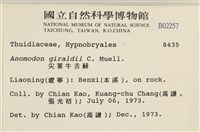登錄號:B00002257藏品圖，第2張