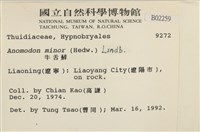 小牛舌蘚藏品圖，第2張