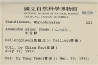 小牛舌蘚藏品圖，第2張