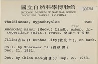登錄號:B00002261藏品圖，第2張