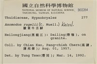 皺葉牛舌蘚藏品圖，第2張