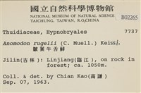 皺葉牛舌蘚藏品圖，第2張