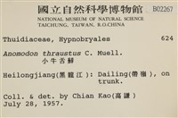 碎葉牛舌蘚藏品圖，第2張