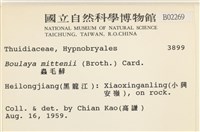 蟲毛蘚藏品圖，第2張