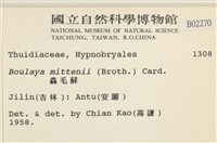 蟲毛蘚藏品圖，第2張