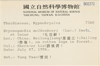 毛羽蘚藏品圖，第2張