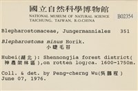 小睫毛苔藏品圖，第2張