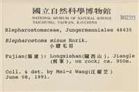 小睫毛苔藏品圖，第2張