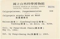 刺葉護蒴苔藏品圖，第2張