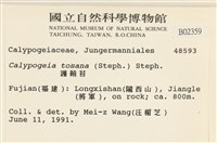 雙齒護蒴苔藏品圖，第2張