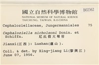 尼氏假大萼苔藏品圖，第2張