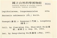 登錄號:B00002401藏品圖，第2張