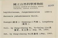 登錄號:B00002408藏品圖，第2張