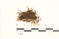 登錄號:B00002408藏品圖，第1張