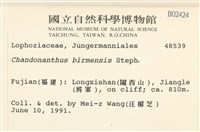 全緣廣萼苔藏品圖，第2張