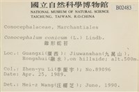 蛇苔藏品圖，第2張