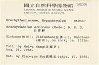 白青蘚藏品圖，第2張