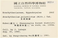 多刺青蘚藏品圖，第2張