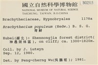 長肋青蘚藏品圖，第2張